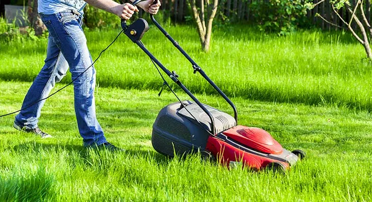 mowing wet grass with electric mower
