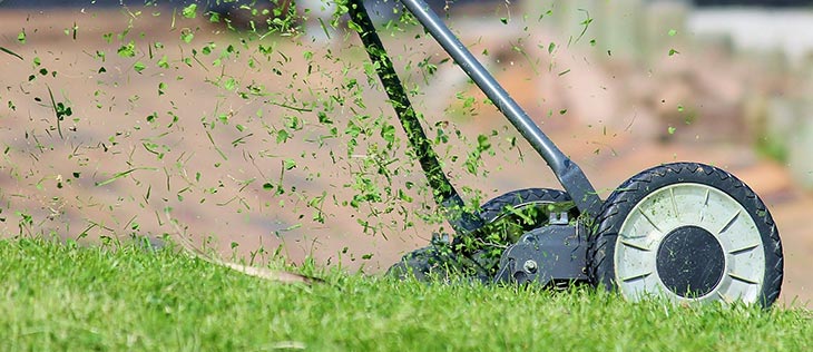 Overgrown With Weeds? See 5 Of The Best Weed Killer For Lawns 5