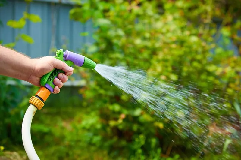 Overgrown With Weeds? See 5 Of The Best Weed Killer For Lawns 4