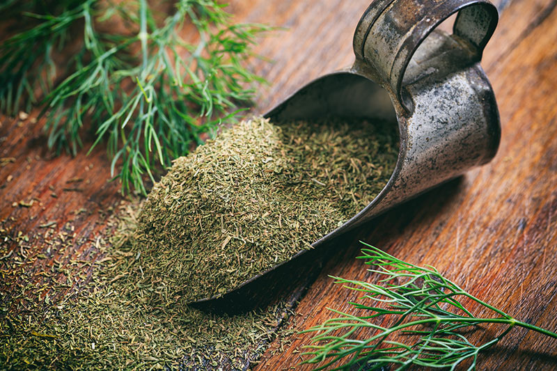 How To Dry Dill