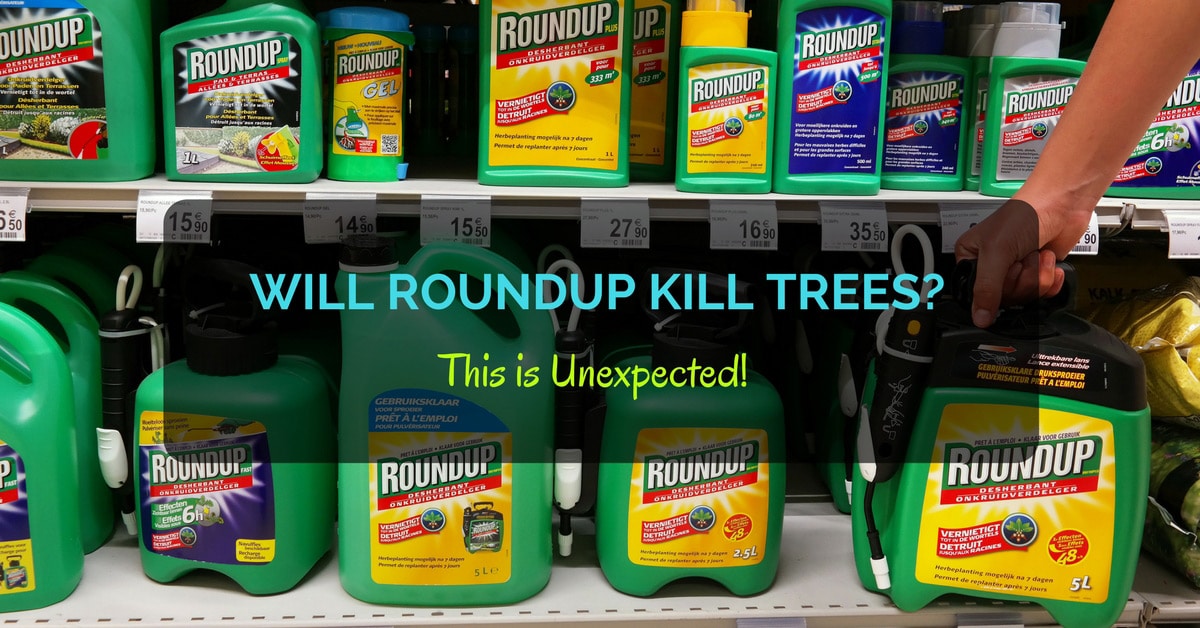 Will Roundup Kill Trees This Is, Does Roundup Kill Trees And Bushes