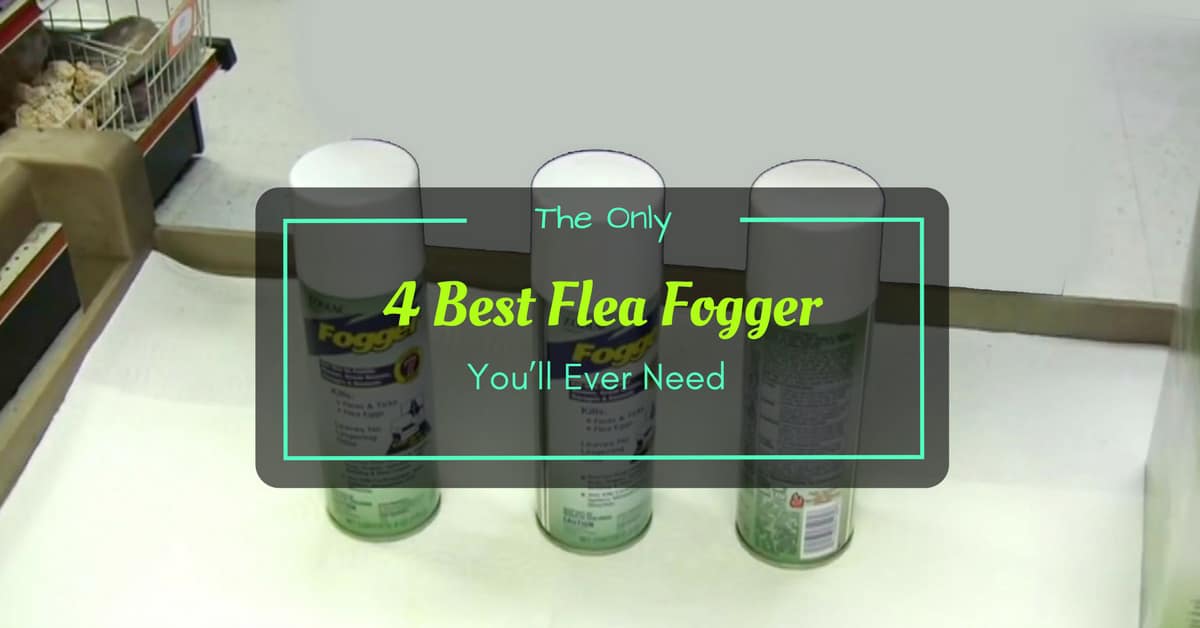 Best Flea Foggers