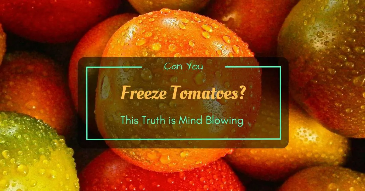Can You Freeze Tomatoes