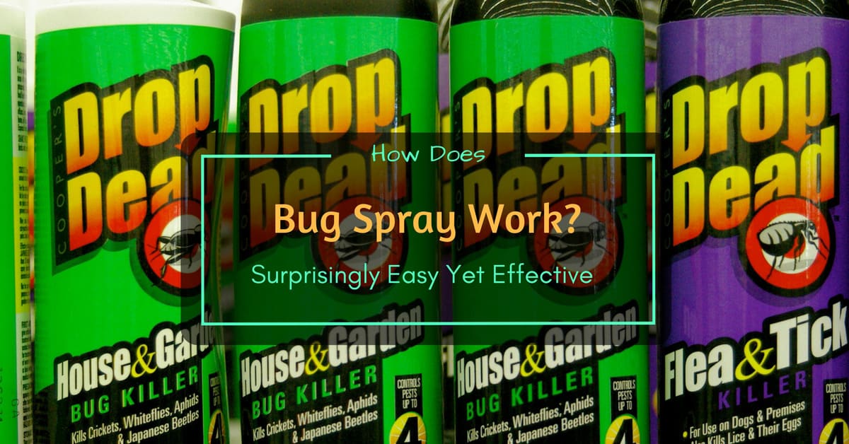 How Does Bug Spray Work