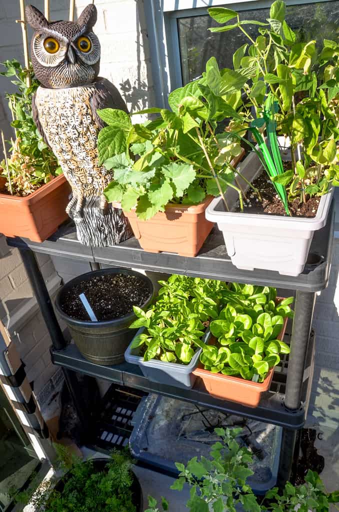 Balcony Garden - Smart Small Garden Ideas