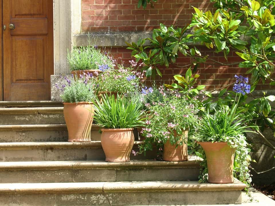 Pots On Steps - Smart Small Garden Ideas