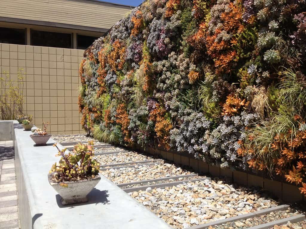Succulent Wall Art - Smart Small Garden Ideas