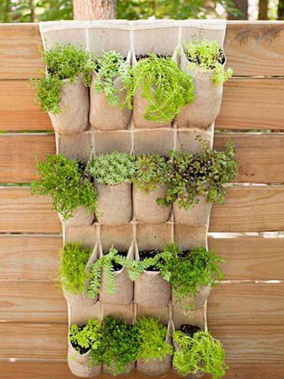 Plants in Pockets - Smart Small Garden Ideas
