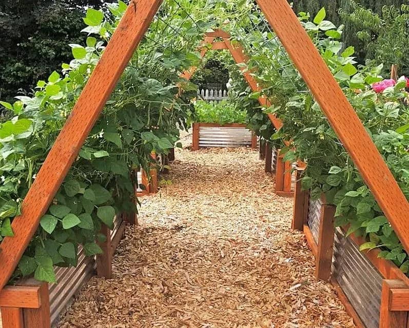 Raised Garden Bed Arbor - DIY Raised Garden Bed Ideas