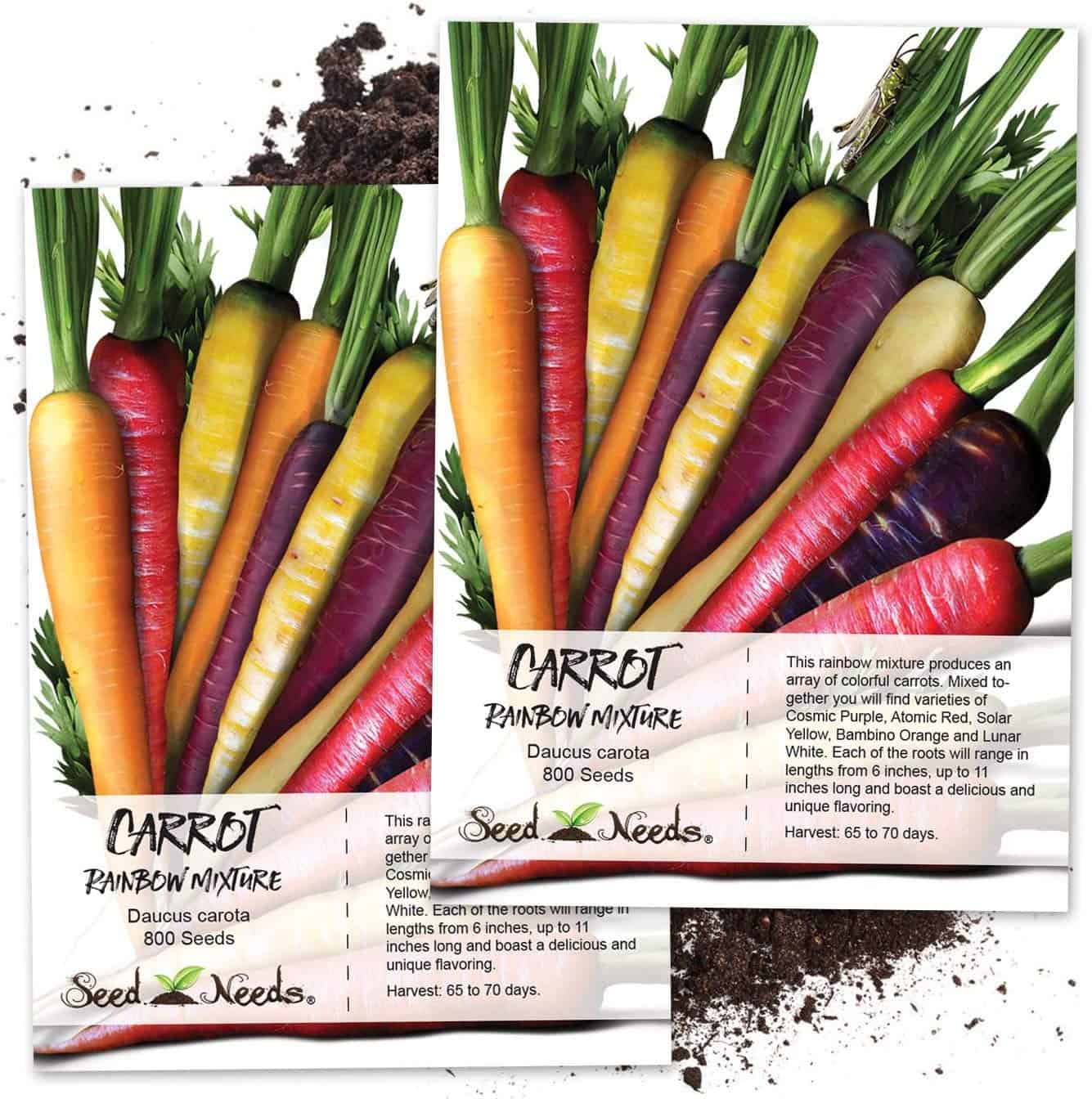 Carrots Seeds