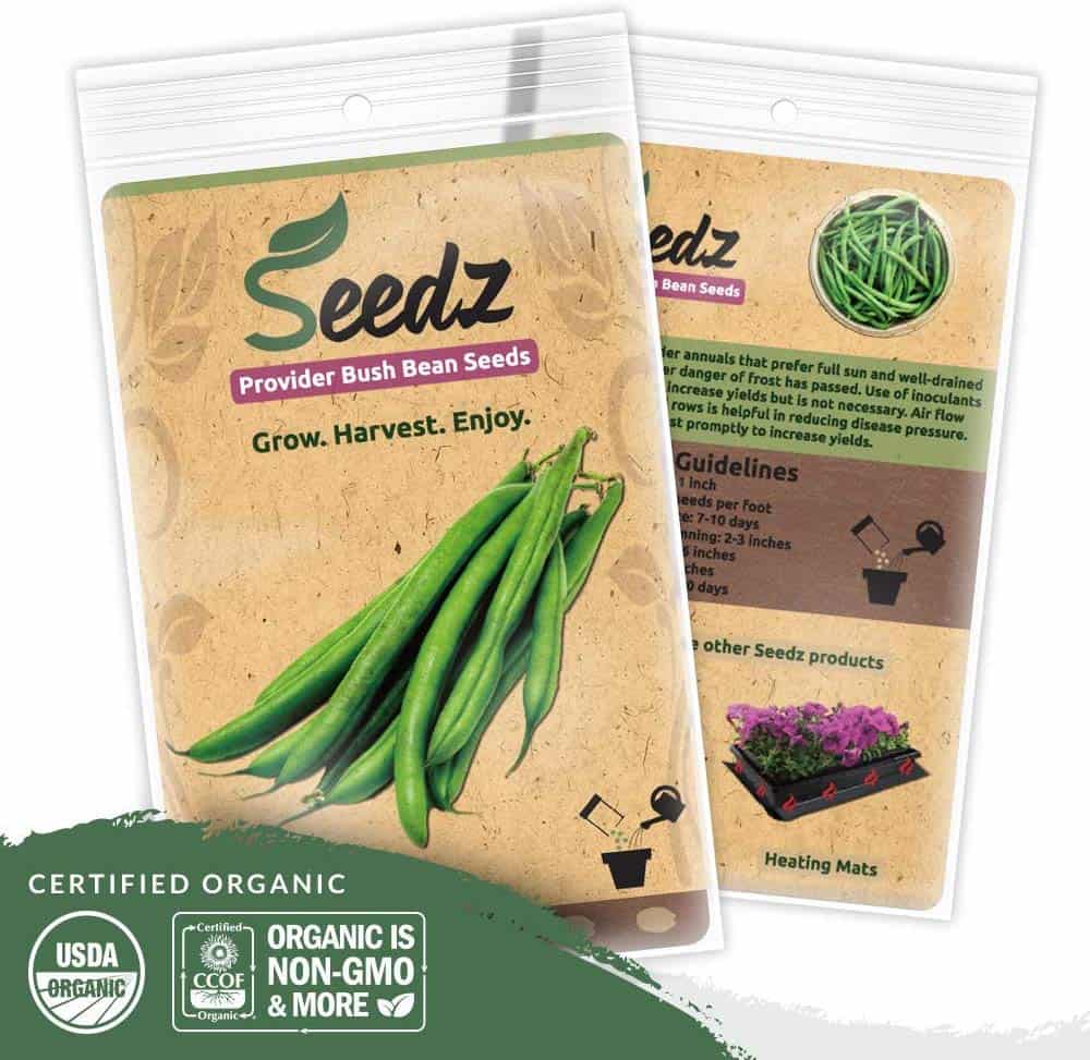 Green Bean Seeds