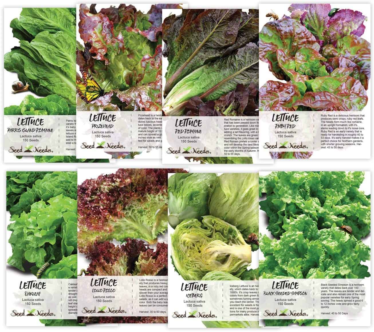 Lettuce Seeds