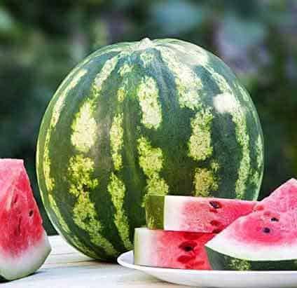 How Long Does It Take For A Watermelon To Grow! 2