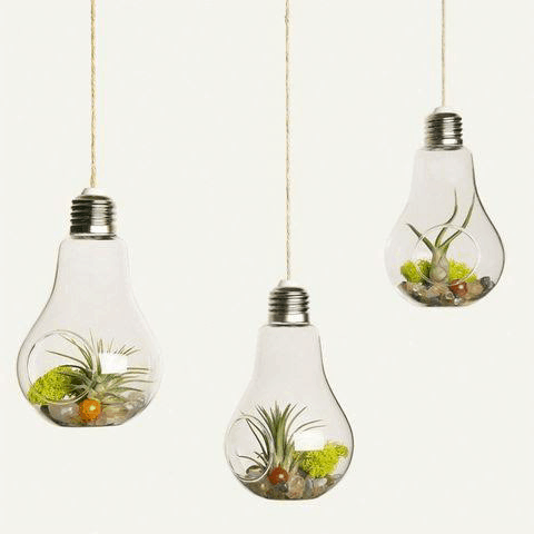 Best Hanging Planter Ideas