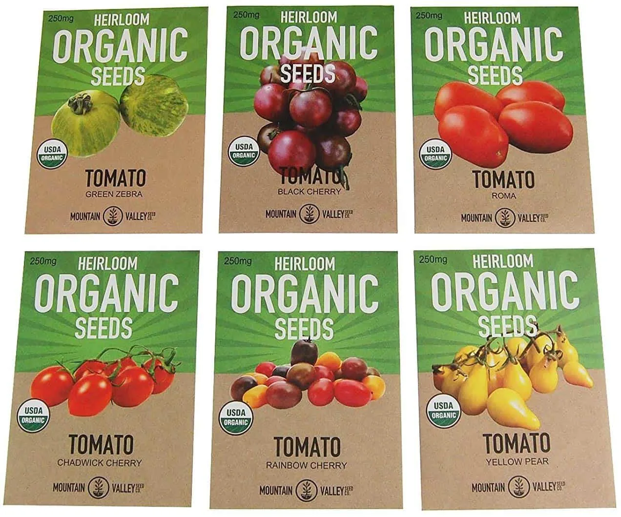 When to Plant Tomatoes? See The 7 Helpful Tips Here! 1