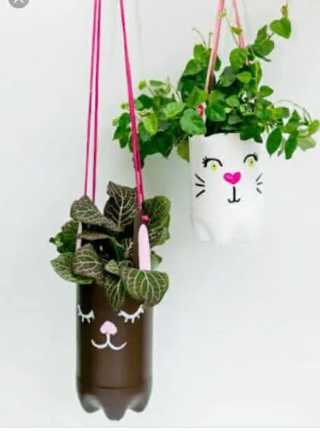 Best Hanging Planter Ideas