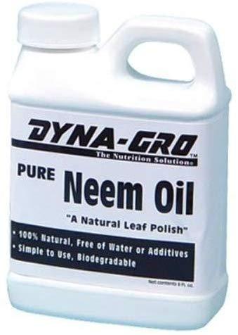 Dyna Gro NEM 008 Neem Oil - Best Insecticides for Roses