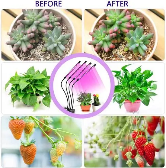 Grow Lights Plant Lights for Indoor Plants Semai 40W 80 LED Lamp Bulbs with 3 9 12H Timer 10 Dimmable 2