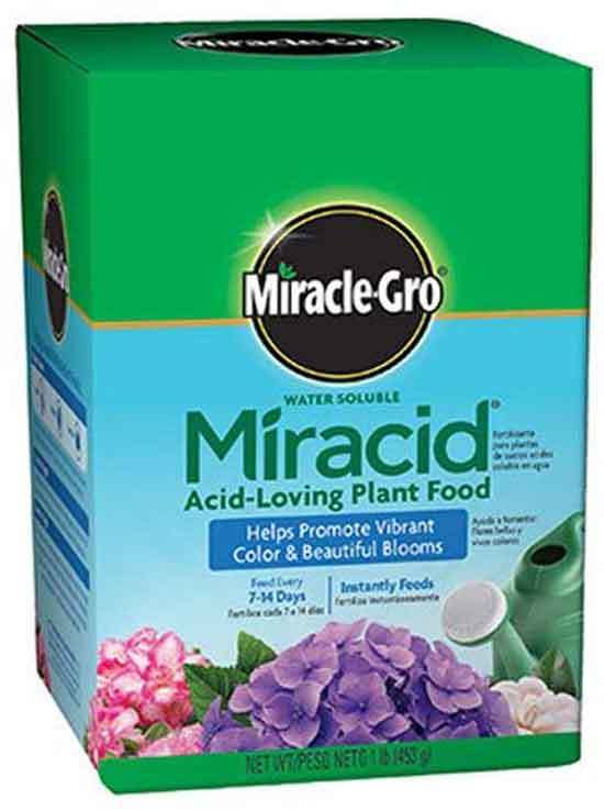Scotts Company Miracle Gro 1750011 - Best Fertilizers For Gardenias