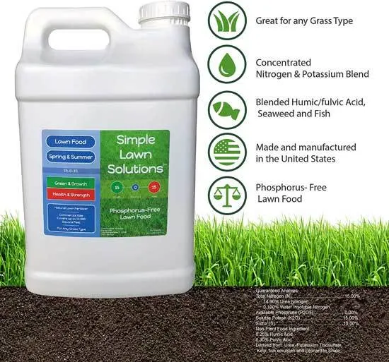 best lawn fertilizer for spring
