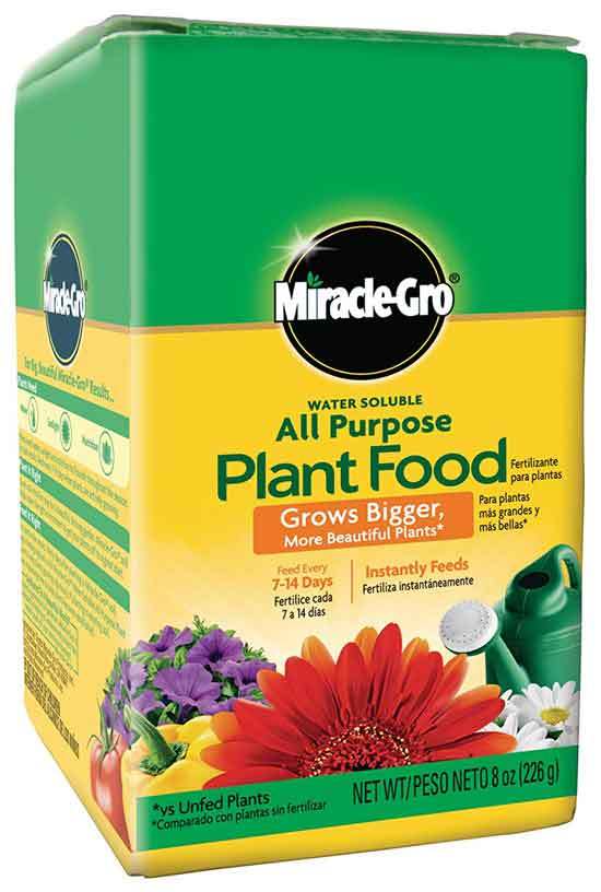 Miracle Gro Water Soluble All Purpose Plant Food 8 oz - Best Fertilizer for Hostas