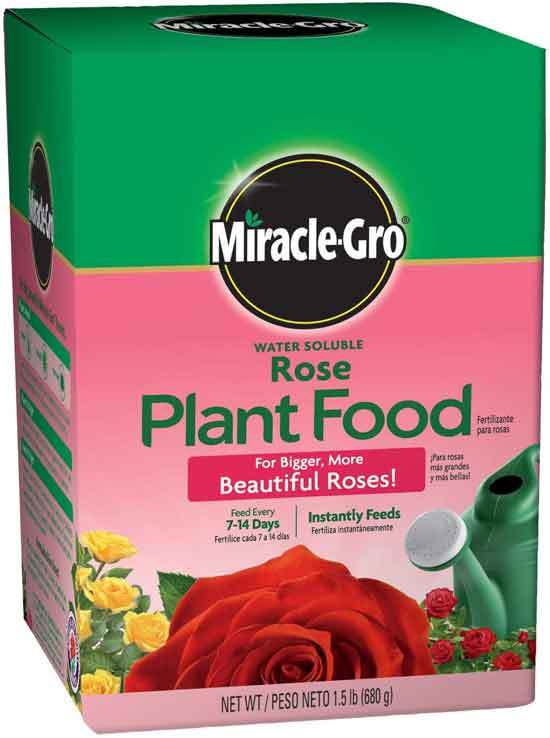Miracle Gro Water Soluble Rose Plant Food 1.5 lb. - Best Fertilizer for Knockout Roses