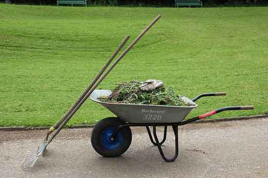 wheelbarrow grass
