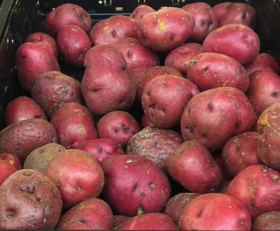 How to Increase the Shelf Life of Russet Potatoes or How to Preserve Them More Efficiently