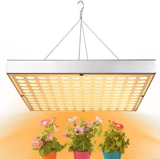 LED Grow Light for Indoor Plants - What Kind of Light Bulb for Indoor Plants