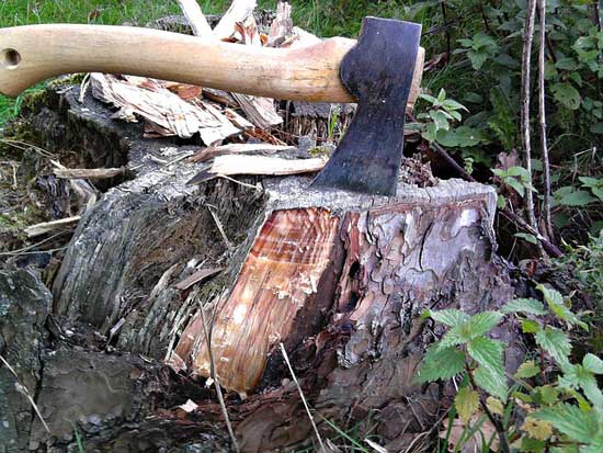 Manual Remove Tree Stumps