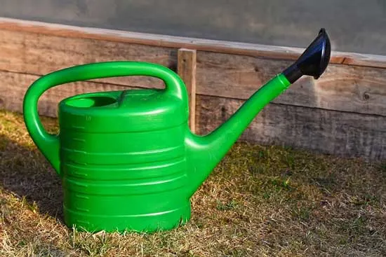 slender spout watering can