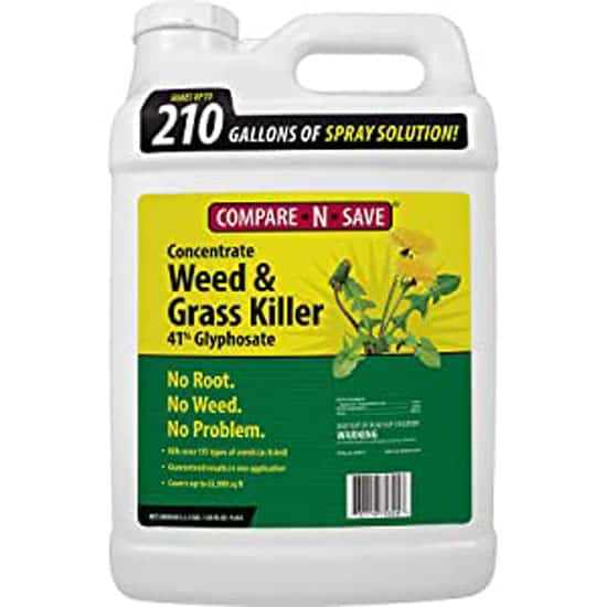 Compare N Save Concentrate Grass and Weed Killer 41 Percent Glyphosate - How to Kill Pampas Grass