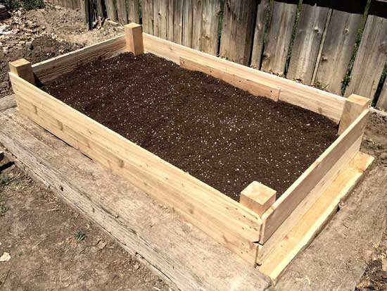 How to Grow Portobello Mushrooms Raised Garden Bed