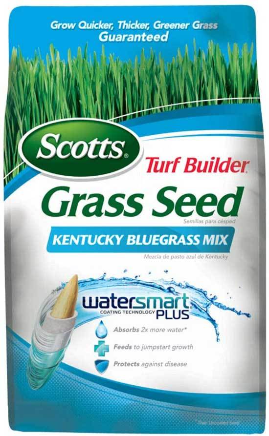 Best Kentucky Bluegrass Seeds Scotts 18269 Turf Builder Grass Seed Kentucky Bluegrass Mix