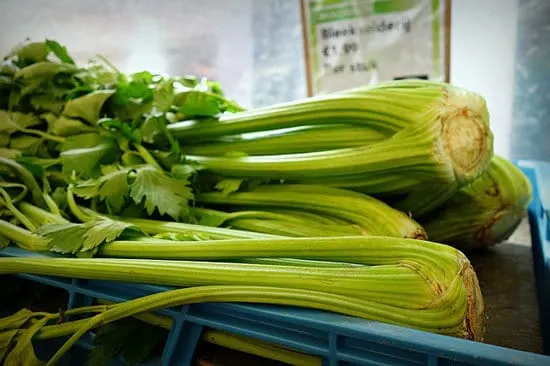 How Long Does Celery Last 2
