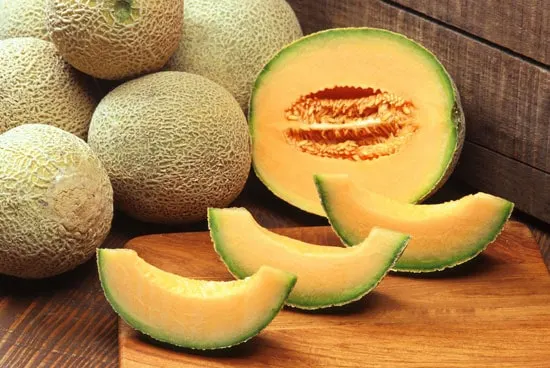 How To Grow Cantaloupe In Container Harvest Cantaloupe