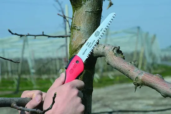Best Pruning Saw Felco 600 Folding Pruning Saw