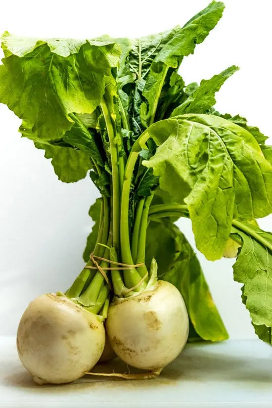 Fast Growing Salad Vegetables Turnips