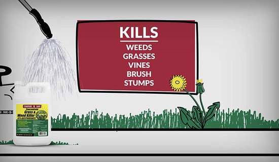 Best Weed Killer That Doesnt Kill Grass Compare N Save Weed Killer 2
