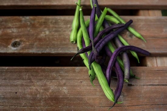 Black Vegetables For Your Garden Purple TeePee French Beans