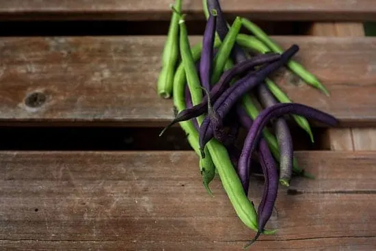 Black Vegetables For Your Garden Purple TeePee French Beans