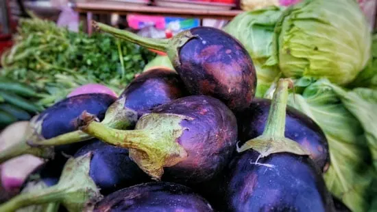 Black Vegetables For Your Garden Syrian Stuffing Eggplant