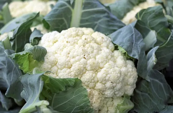 Cruciferous Vegetables Cauliflower
