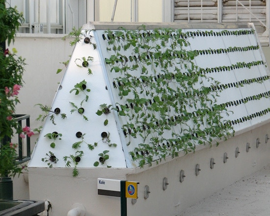 How To Build A High Pressure Aeroponics System