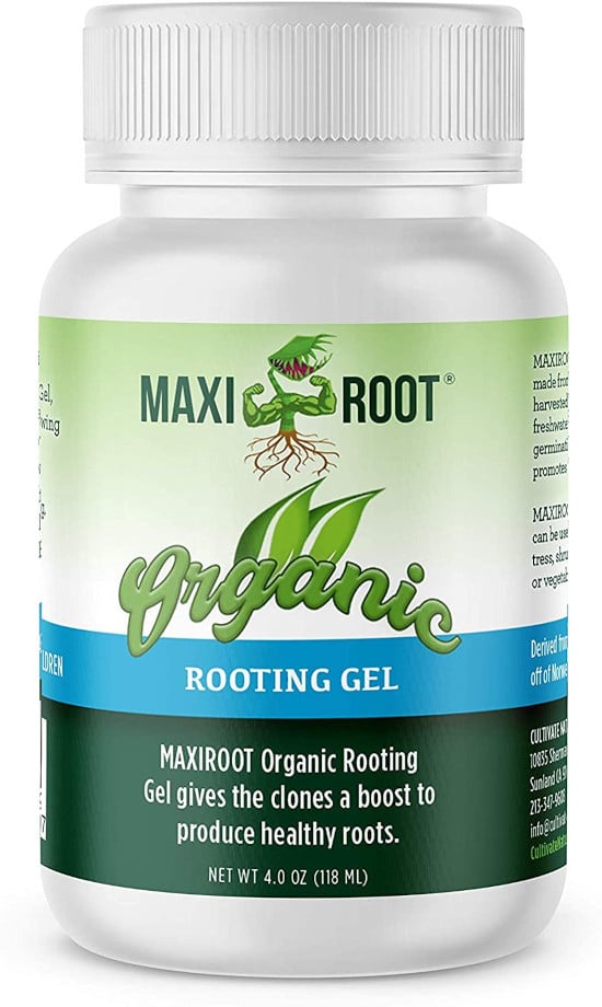 MAXIROOT Organic Rooting Envirocann Hormone Best Rooting Hormone