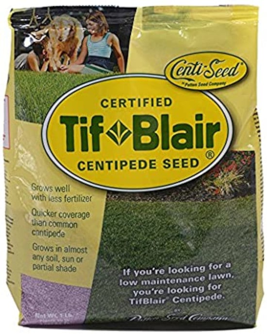 Pattern Seed Company TifBlair Grass Seed Centipede for Sandy Soil Best Grass Seed for Sandy Soil