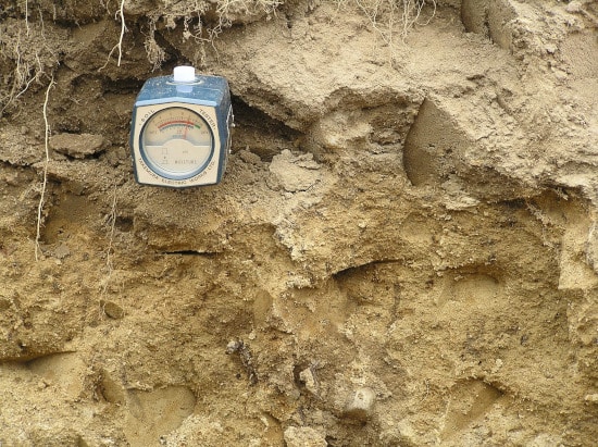 How To Raise Ph In Soil Fast How To Raise Ph In Soil Fast