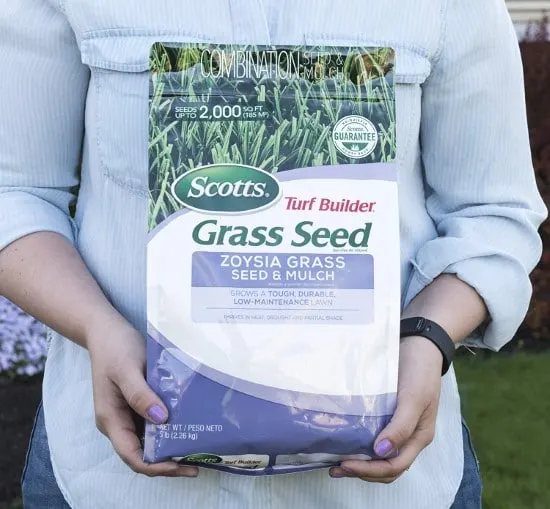How To Grow Grass In Sandy Soil (Growing Grass For Beginners)? 3