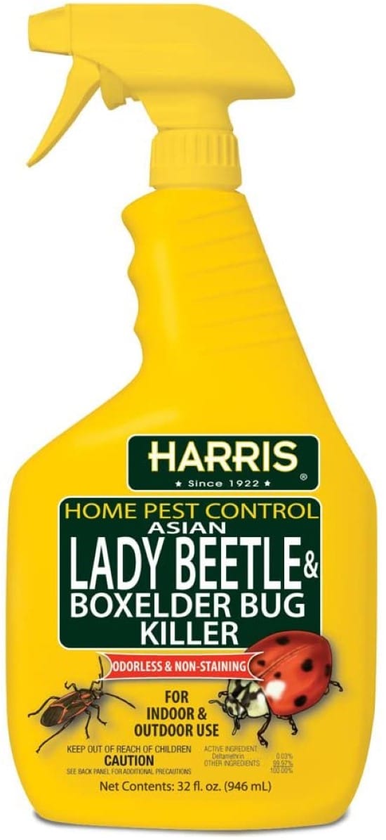 HARRIS Odorless and Non Staining Box Elder Bug Killer 10 Easy Ways On How To Get Rid Of Boxelder Bugs