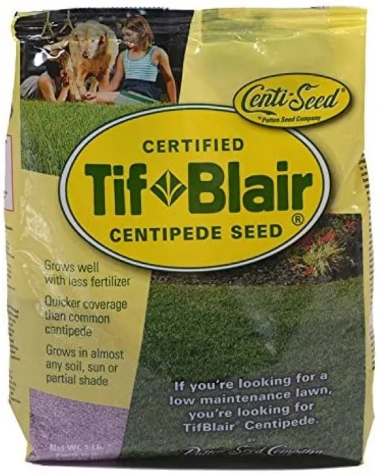 Patten Seed Company TifBlair Centipede 1 Lb Grass Seed Best Grass Seed for Florida